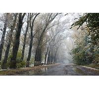 GLHUIOZ Puzzle 1000 Pieces Adultes Jeu éducatif défi Jouet Art Enfants Neige fondante,première Neige,75x50cm