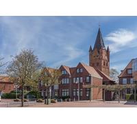 GLHUIOZ Puzzle 1000 Pieces Adultes Puzzle Adulte 1000 pièces Jeu éducatif défi Jouet 1000 Pièces Puzzles Peinture Art Adultes Enfants Église d'Allemagne 75x50cm