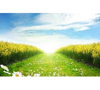 GLHUIOZ Puzzle 1000 Pièces Grand Bois pour Adultes,Personnes âgées,Enfants,Camomilles,Pissenlits,75x50cm