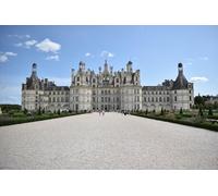 GLHUIOZ Puzzle 1000 pièces pour Adultes,matériaux recyclables de qualité supérieure et Puzzle d'impression Haute définition, Jeu en Famille,Cadeaux pour Amis. Musée des Châteaux de France 75x50cm