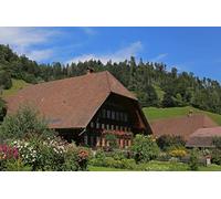 GLHUIOZ Puzzle 1500 Pieces Paysage - Puzzle | Puzzles Classiques | Puzzle Adulte Suisse 87x57cm