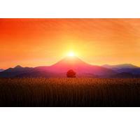 GLHUIOZ Puzzle 1500 Pièces pour Adultes,Design Unique Jouet éducatif pour Adolescents et Enfants idée Cadeau,Montagne,87x57cm