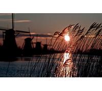 GLHUIOZ Puzzle 500 Pieces Adulte Classiques Hiver,Moulin à Vent,Ambiance,Hollande,52x38cm