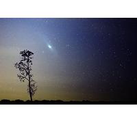 GLHUIOZ Puzzle 500 Pièces Adulte Enfant,Galaxie,Andromède,52x38cm