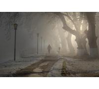GLHUIOZ Puzzle 500 pièces - Adultes et Enfants dès 14 Ans - Puzzle de qualité supérieure - Promenade sur Le Sentier du Brouillard des Parcs 52x38cm