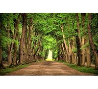 GLHUIOZ Puzzle 500 Pièces en Bois DIY Jeu D'Intelligence De l'art De La Décoration Moderne Jeu Cadeau Unique,Beau,52x38cm