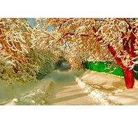 GLHUIOZ Puzzle 500 pièces,pour Adultes,Impossible,Jeu d'adresse pour Toute la Famille,de décoration d'intérieur,Rue,52x38cm