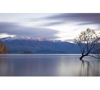 GLHUIOZ Puzzle 500 pièces pour Adultes,matériaux recyclables de qualité supérieure d'impression Haute définition,Jeu en Famille,Cadeaux pour Amis,Nouvelle-Zélande,Surface de l'eau,Lac Wanaka,52x38cm