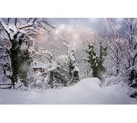 GLHUIOZ Puzzle 500 pièces pour Adultes,matériaux recyclables de qualité supérieure d'impression Haute définition,Jeu en Famille,Cadeaux pour Amis,Chutes de Neige,Bulgarie 52x38cm