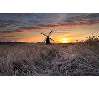 GLHUIOZ Puzzle 500 pièces pour Adultes,matériaux recyclables de qualité supérieure d'impression Haute définition,Jeu en Famille,Cadeaux pour Amis,Champ,Million,52x38cm