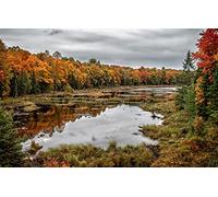 GLHUIOZ Puzzle Adulte 1500 p Challenge Ontario,Reflets d'automne,Parc Provincial Killbear,87x57cm