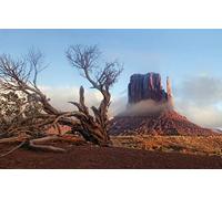 GLHUIOZ Puzzle Adulte 1500 Pièces 3D Abstrait Bricolage Moderne Art Mural Cadeau Unique Home Decor Monument,Moufles,87x57cm