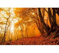 GLHUIOZ Puzzle Adulte 1500 Pièces 3D DIY Paysages,87x57cm