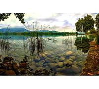 GLHUIOZ Puzzle Adulte 1500 Pièces coloré Artisanat Cadeau Famille Classique 3D Jouet en Bois Cadeau Unique Décoration Intérieure,Nature,87x57cm