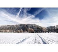 GLHUIOZ Puzzle Adulte 500 Pièces 3D DIY,Champ,Image,52x38cm