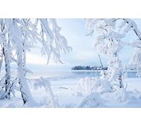 GLHUIOZ Puzzle Adulte 500 Pièces Classique Kit De Bricolage Jouet en Bois Cadeau Unique Décor À La Maison Canada,lac Kakisa,Territoires du Nord-Ouest,52x38cm