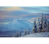 GLHUIOZ Puzzle Adulte 500 Pièces DIY Art De Mur Moderne Cadeau Unique Home Decor,Alaska,52x38cm