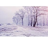 GLHUIOZ Puzzle Adulte 500 Pièces Paysages Artisanat Cadeau Famille Classique 3D Jouet en Bois Cadeau Unique Décoration Intérieure Paysages,52x38cm