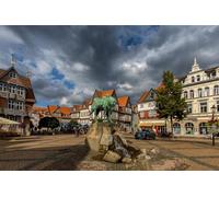 GLHUIOZ Puzzle Adulte 500 Pièces Paysages Artisanat Cadeau Famille Puzzle Classique 3D Puzzle Jouet en Bois Cadeau Unique Décoration Intérieure Allemagne Monuments Ville 52x38cm