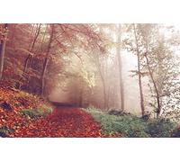 GLHUIOZ Puzzle Adulte 500 pièces - pour Adultes et Enfants dès 14 Ans qualité supérieure - Forêt,Bois,Chemin,52x38cm