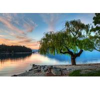 GLHUIOZ Puzzle Adulte 500 Pièces Puzzle 3D Affiche Salon Mur Art Creative Abstraite Décor À La Maison BEAUTÉ,Saule,52x38cm