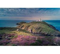 GLHUIOZ Puzzle Adulte 500 Pièces Puzzle 3D Affiche Salon Mur Art Creative Abstraite Décor À La Maison Littoral 52x38cm