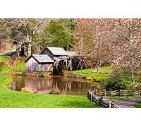 GLHUIOZ Puzzle de 500 pièces pour Adultes Impossible,Jeu d'adresse pour Toute la Famille pour à partir de 14 Ans,Moulin,52x38cm