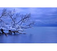 GLHUIOZ Puzzle de 500 pièces pour Adultes Impossible,Jeu d'adresse pour Toute la Famille pour à partir de 14 Ans Glaçons,Canada,Whitby,Lac Ontario,52x38cm