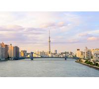 GLHUIOZ Puzzles de 500 pièces pour Adultes et Enfants à partir de 12 Ans, Japon Tokyo Rivières Ponts 52x38cm