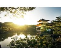 GLHUIOZ Puzzles en Bois - 500 pièces, Cadeau Femme, Homme, Puzzle Bois Adulte Temples de Kyoto, Japon 52x38cm