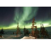 GLHUIOZ Puzzles pour Adultes 1000 PièCes Hands on Game Famille DéCoration Aurores boréales,lumières du Nord 75x50cm