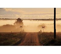 GLHUIOZ Puzzles pour Adultes 1000 PièCes Hands on Game Famille DéCoration,Champ,Déplacement,75x50cm