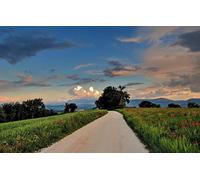 GLHUIOZ Puzzles pour Adultes 1000 PièCes Hands on Game Famille DéCoration Paysages,75x50cm