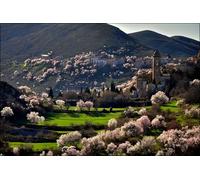 GLHUIOZ Puzzles pour Adultes 1000 PièCes Puzzles Bois Puzzle Hands on Game Famille DéCoration Église Fleurie 75x50cm