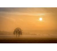 GLHUIOZ Puzzles pour Adultes 1500 PièCes Bois Hands on Game Famille DéCoration France,Alsace,Arbre,87x57cm