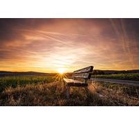 GLHUIOZ Puzzles pour Adultes 1500 PièCes Hands on Game Famille DéCoration,Banc,87x57cm