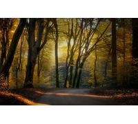 GLHUIOZ Puzzles pour Adultes 1500 PièCes Hands on Game Famille DéCoration Paysages,87x57cm