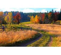 GLHUIOZ Puzzles pour Adultes 1500 PièCes Hands on Game Famille DéCoration Paysages,87x57cm