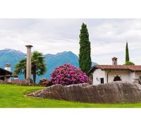 GLHUIOZ Puzzles pour Adultes 500 PièCes Bois Hands on Game Famille DéCoration Arbuste,Colonne,Cyprès,Rhododendron,52x38cm