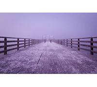 GLHUIOZ Puzzles pour Adultes 500 PièCes Bois Hands on Game Famille DéCoration Lilas,Allemagne,Lanterne,52x38cm