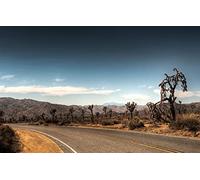 GLHUIOZ Puzzles pour Adultes 500 PièCes Hands on Game Famille DéCoration Désert,Vallée,52x38cm