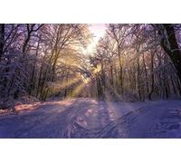 GLHUIOZ Puzzles pour Adultes 500 PièCes Hands on Game Famille DéCoration Paysages,52x38cm