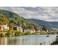 GLHUIOZ Puzzles Scénique de 1000 Pièces, Divertissement Créatif, Cassetête Classique pour Adultes et Enfants de 12+ Ans, Friends, Réunion Rivières Ponts fluviaux Allemagne 75x50cm