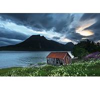 GLHUIOZ Puzzles Scénique de 500 Pièces,Cassetête Classique pour Adultes et Enfants de 12+ Ans,Friends,Réunion Bateau abandonné,Nord de la Norvège,52x38cm