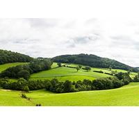 GLHUIOZ Puzzles Scénique de 500 Pièces,Cassetête Classique pour Adultes et Enfants de 12+ Ans,Friends,Réunion Paysages,52x38cm