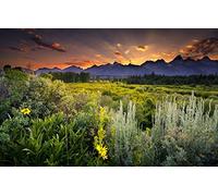 GLHUIOZ Puzzles Scénique de 500 Pièces,Cassetête Classique pour Adultes et Enfants de 12+ Ans,Friends,Réunion,Champ,Wyoming,Pins,États-Unis,Grand Teton,52x38cm