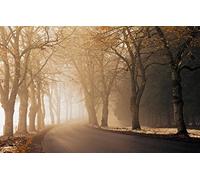 GLHUIOZ Puzzles Scénique de 500 Pièces,Cassetête Classique pour Adultes et Enfants de 12+ Ans,Friends,Réunion Paysages,52x38cm