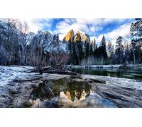 GLHUIOZ Puzzles Scénique de 500 Pièces,Cassetête Classique pour Adultes et Enfants de 12+ Ans,Friends,Réunion États-Unis,Mariposa,52x38cm