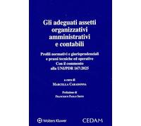 Gli adeguati assetti organizzativi amministrativi e contabili. Profili normativi e giurisprudenziali e prassi tecniche ed operative. Con il commento alla UNI/PDR 167:2025