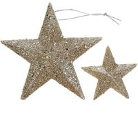 Glitterstern Champagne Noël Décoration Sapin de Noël 9,5/5cm 18 pcs